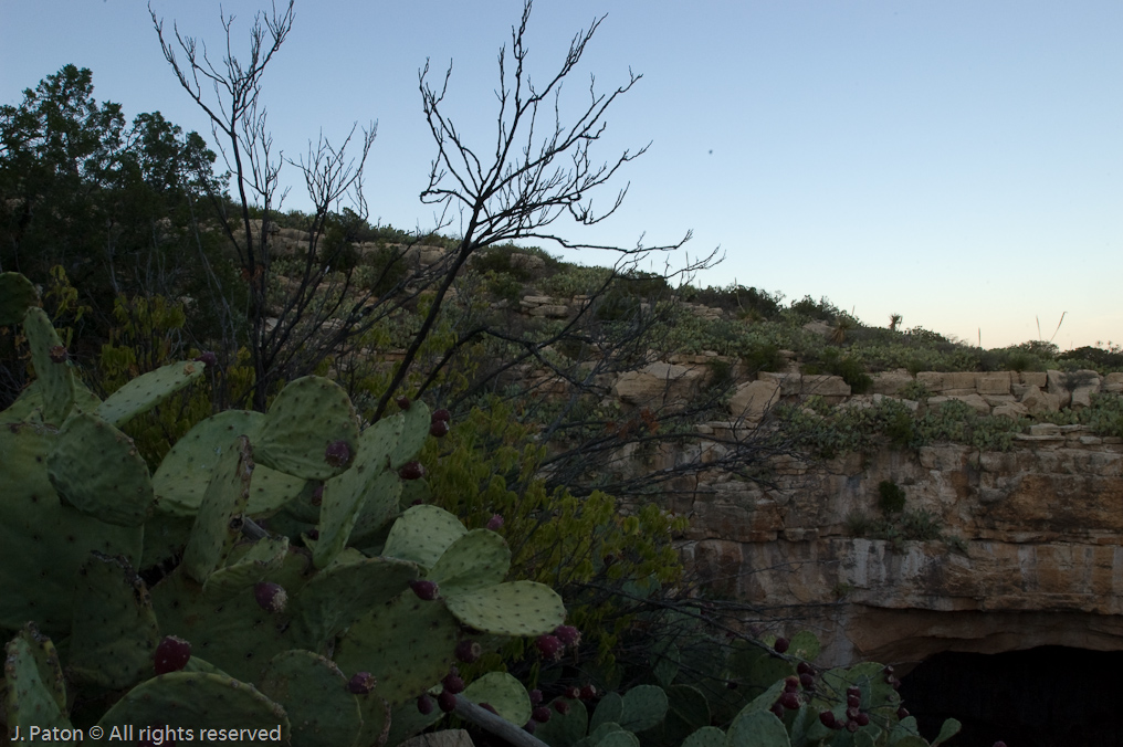 Waiting for the Bats   Carlsbad Caverns National Park, New Mexico