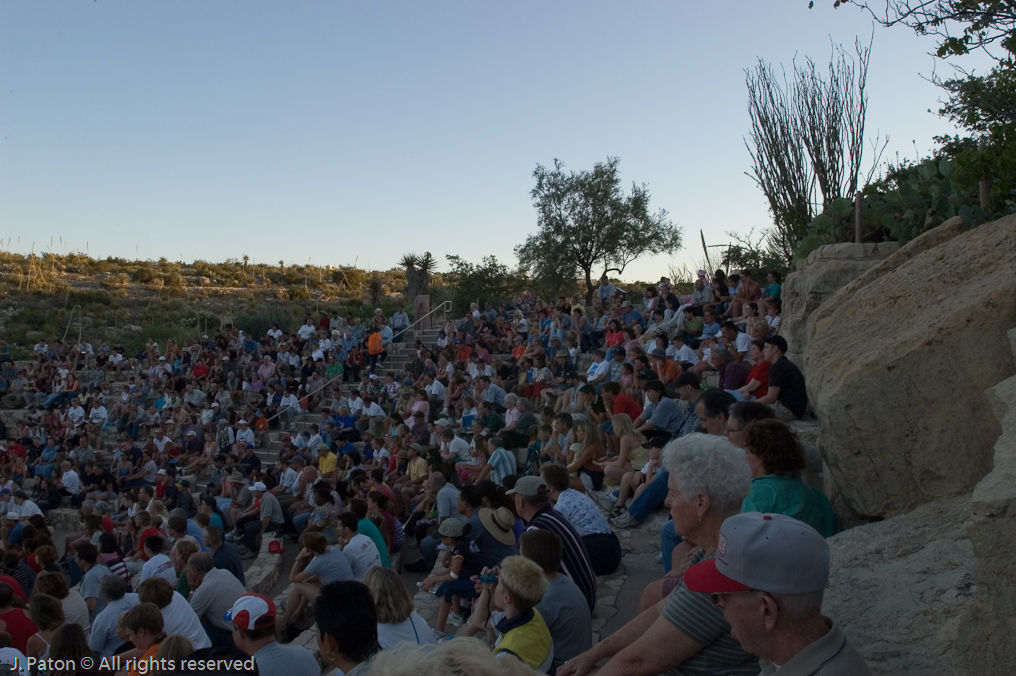 Waiting for the Bats   Carlsbad Caverns National Park, New Mexico
