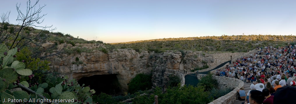 Waiting for the Bats   Carlsbad Caverns National Park, New Mexico