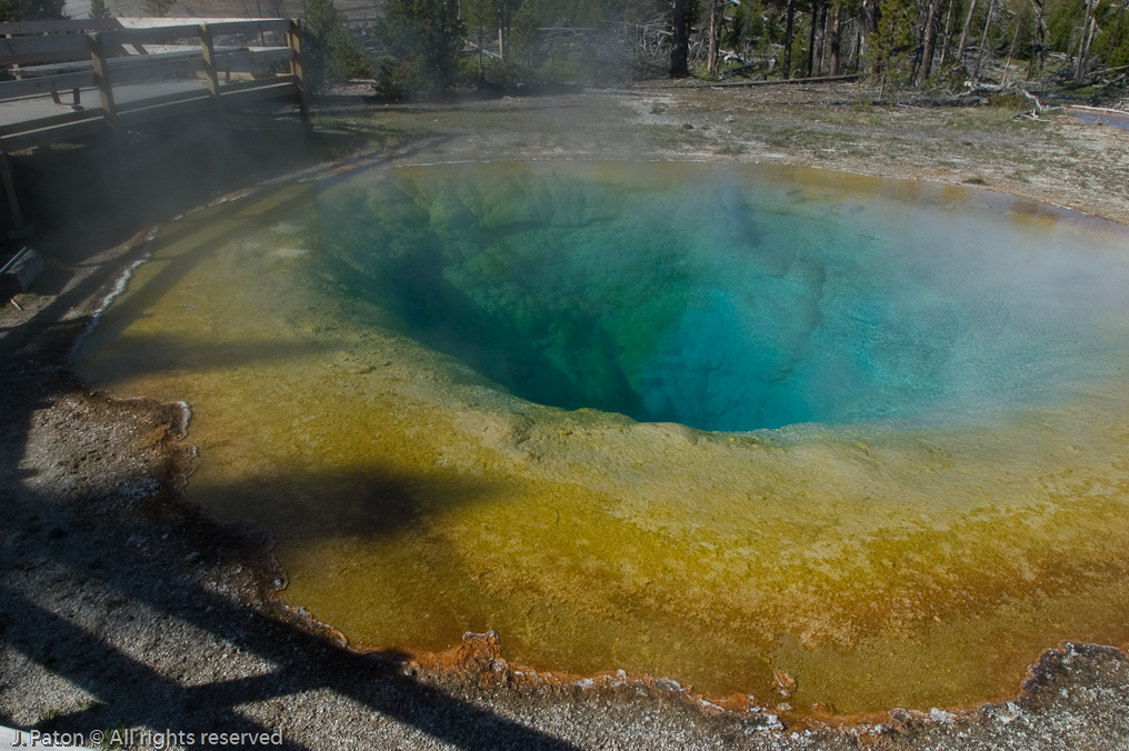 Morning Glory Pool   Upper Geyser Basin, Yellowstone National Park, Wyoming