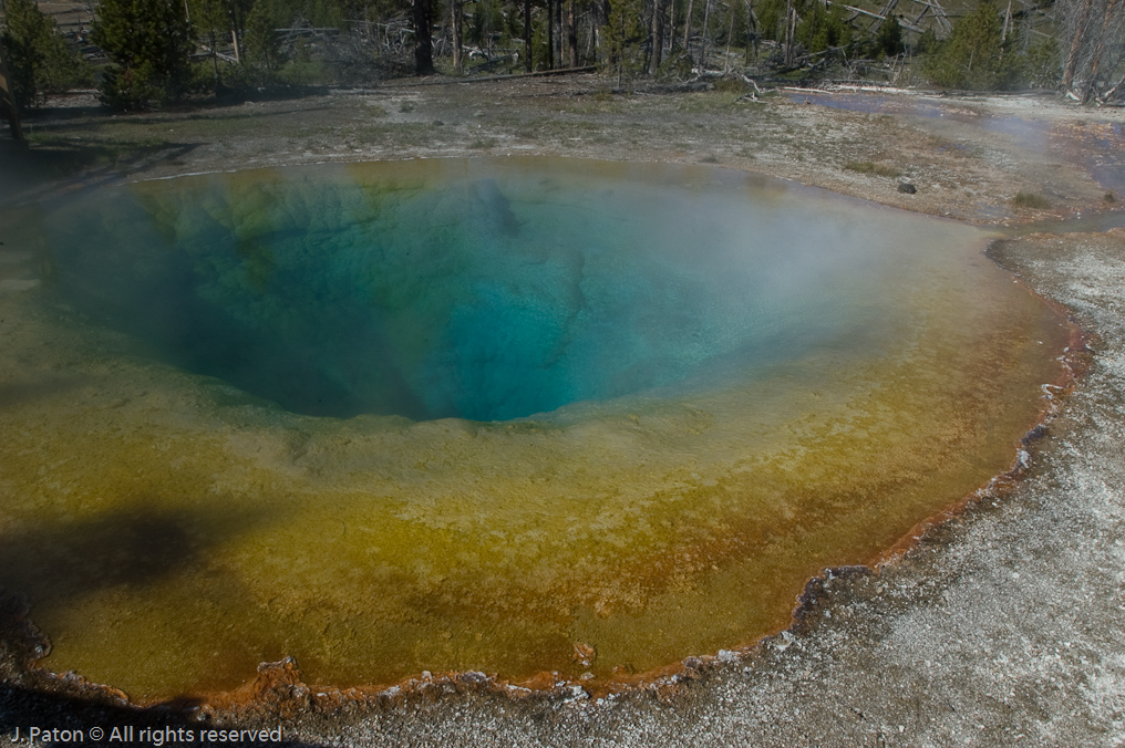 Morning Glory Pool   Upper Geyser Basin, Yellowstone National Park, Wyoming