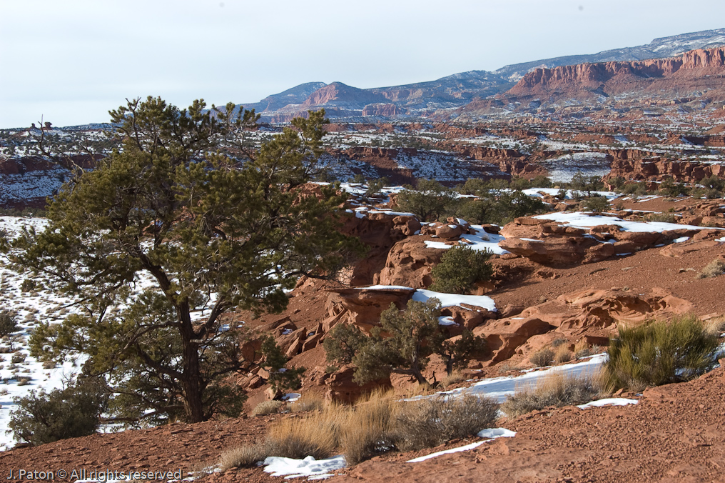 Panarama Point   Capitol Reef National Park, Utah