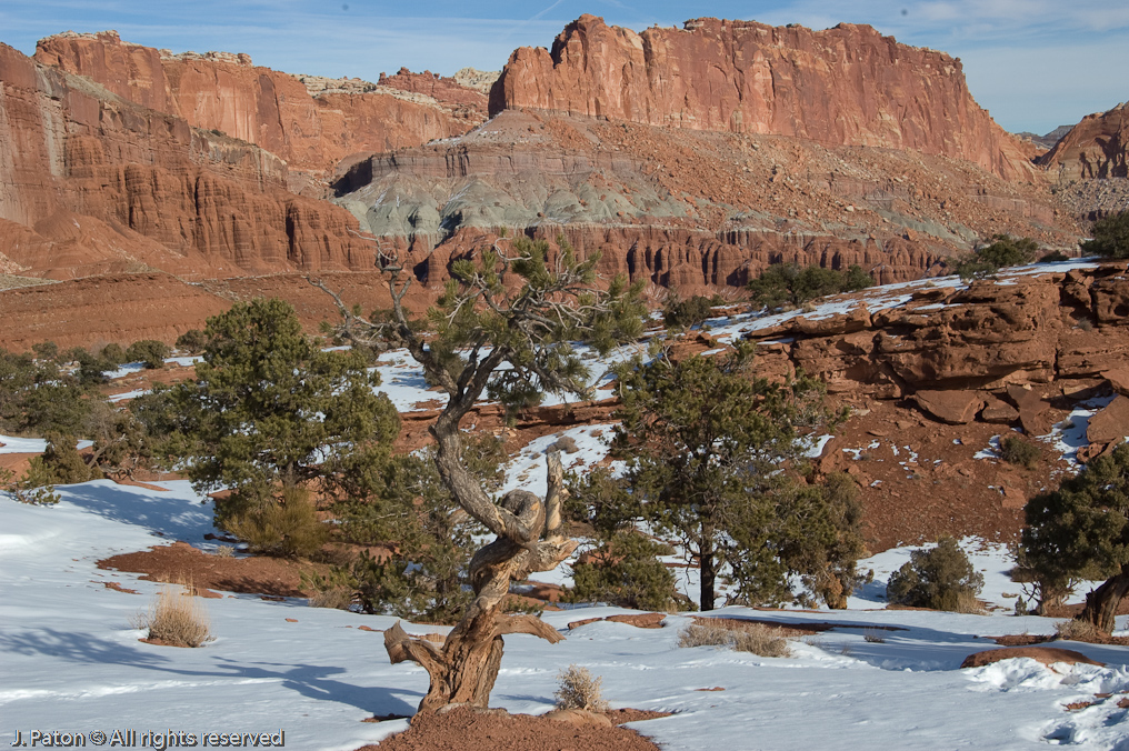Panarama Point   Capitol Reef National Park, Utah