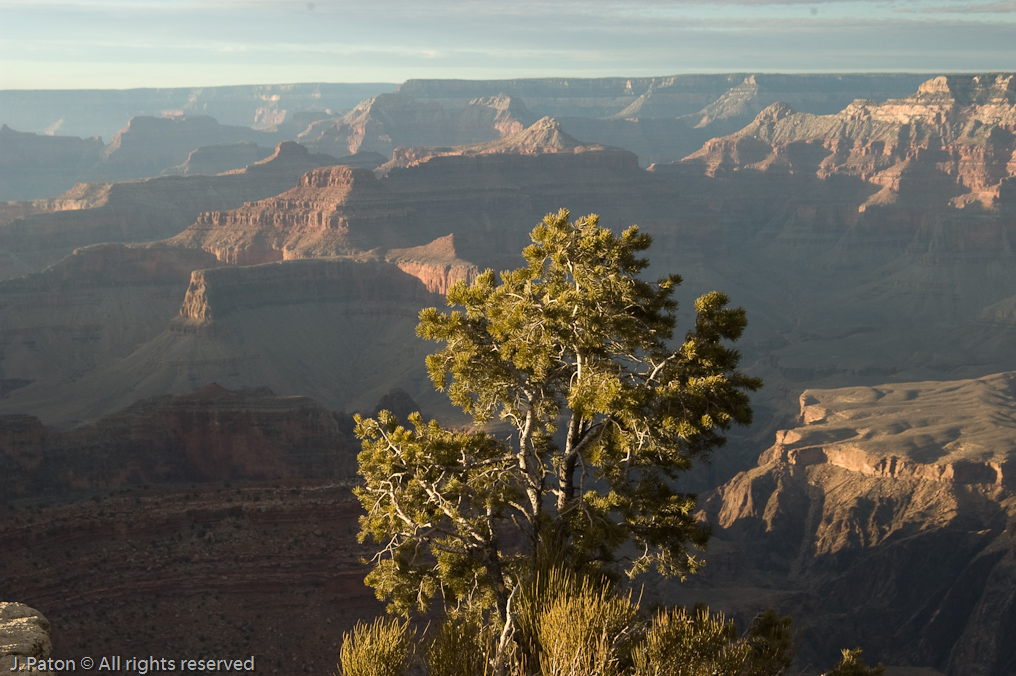Yavapai Point   South Rim, Grand Canyon, Arizona