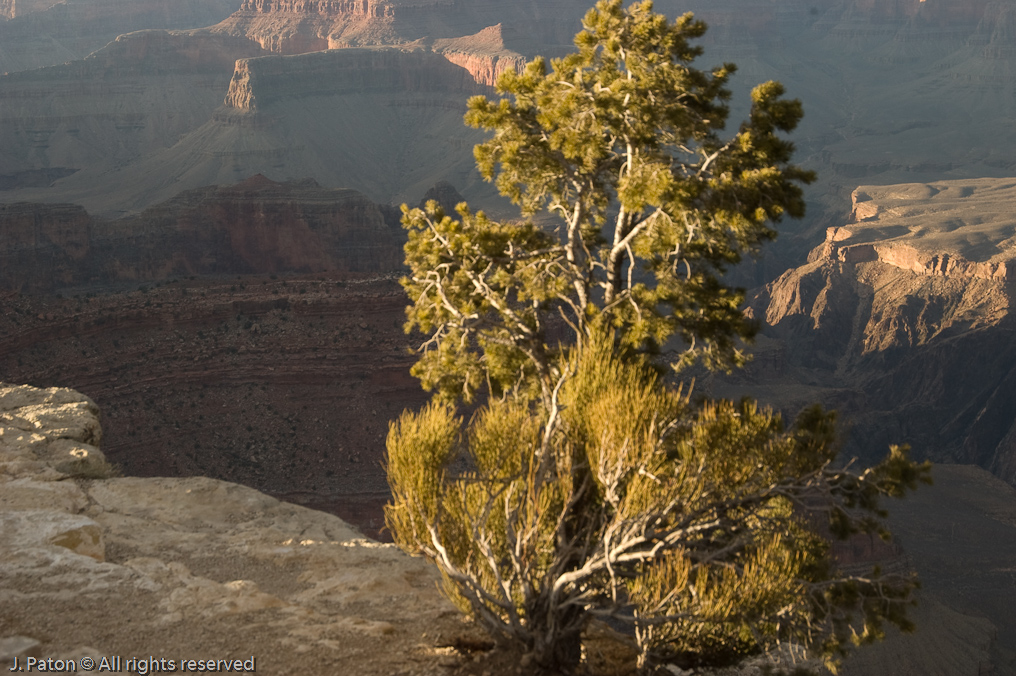 Yavapai Point   South Rim, Grand Canyon, Arizona