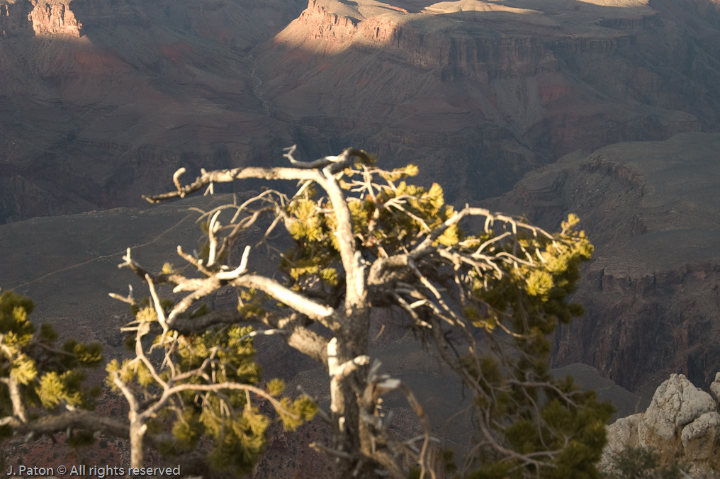 Yavapai Point   South Rim, Grand Canyon, Arizona