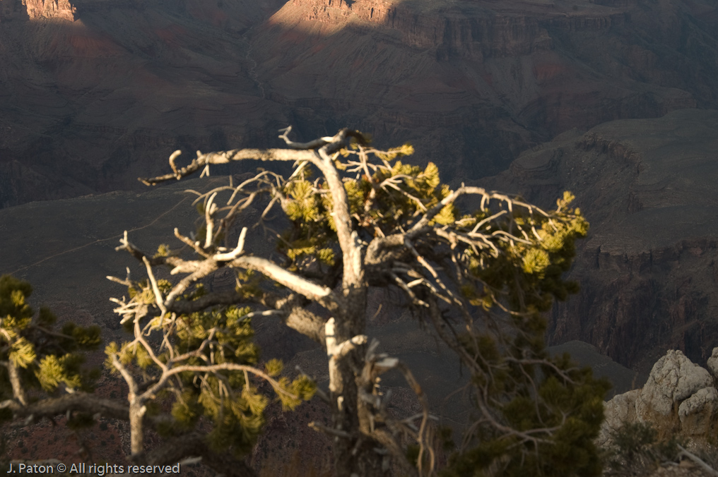 Yavapai Point   South Rim, Grand Canyon, Arizona