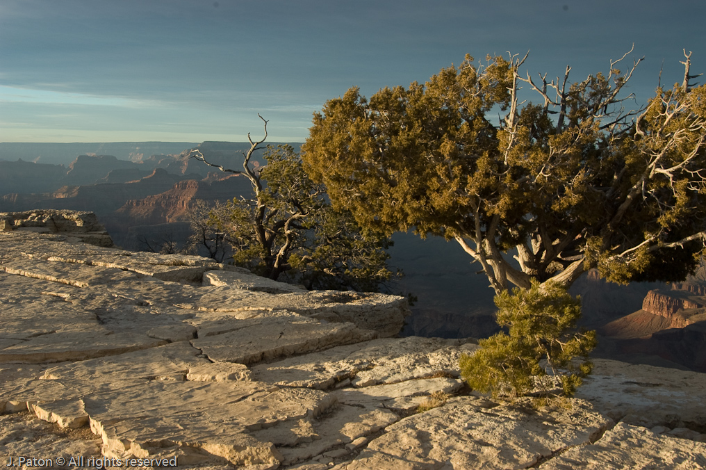 Yavapai Point Area   Grand Canyon National Park, Arizona