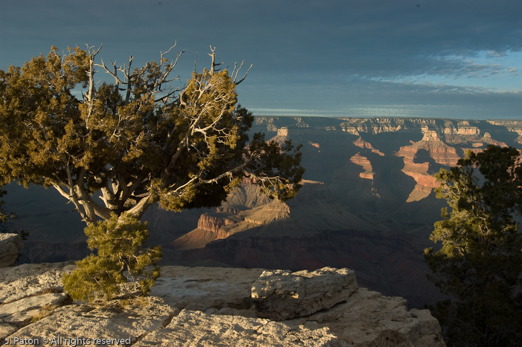 Yavapai Point Area   Grand Canyon National Park, Arizona