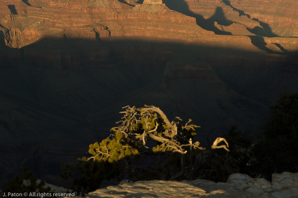 Yavapai Point   South Rim, Grand Canyon, Arizona