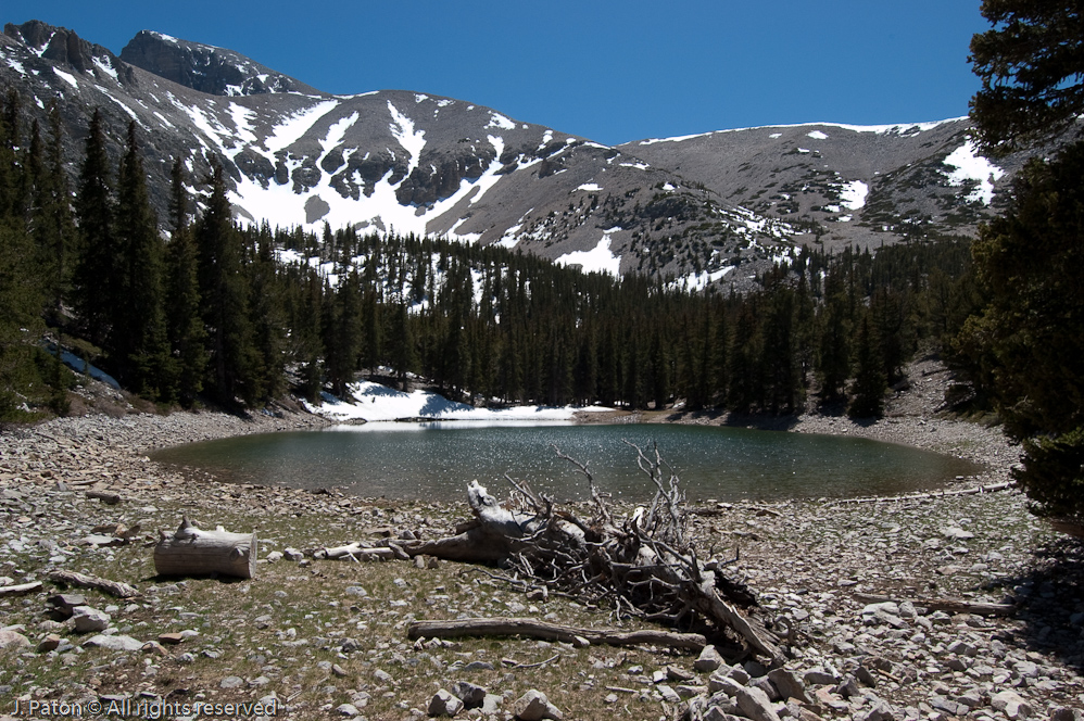 Teresa Lake   Great Basin National Park, Nevada