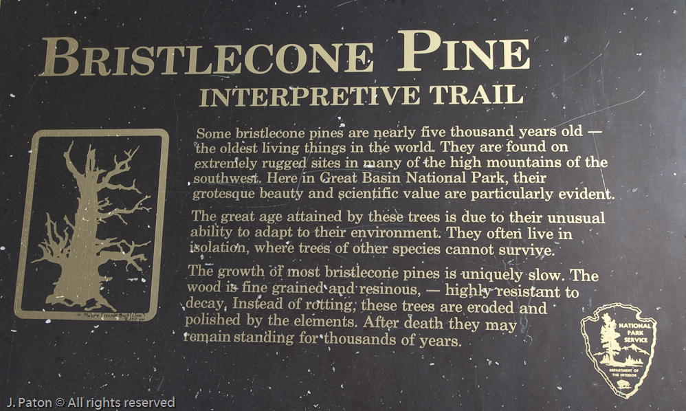 Information   Great Basin National Park, Nevada