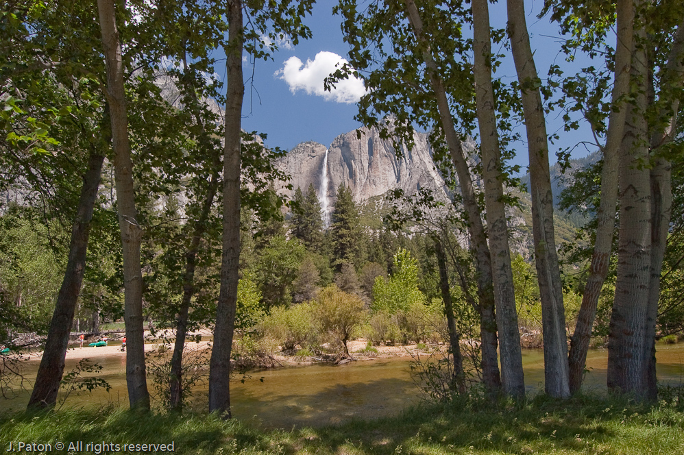 Yosemite Falls Through the Trees   Yosemite National Park, California