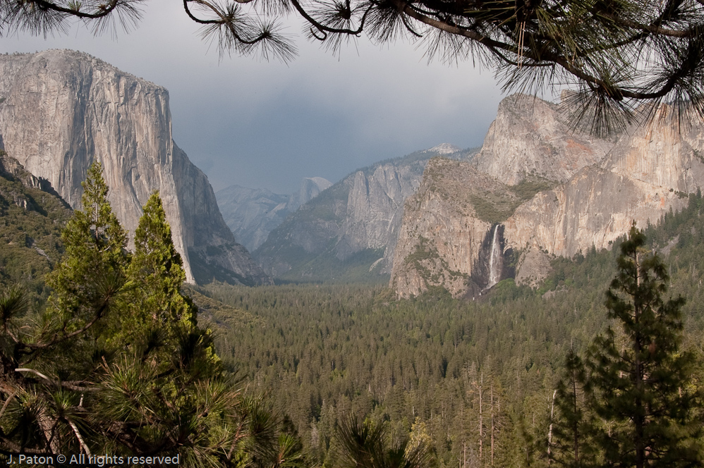    Yosemite National Park, California