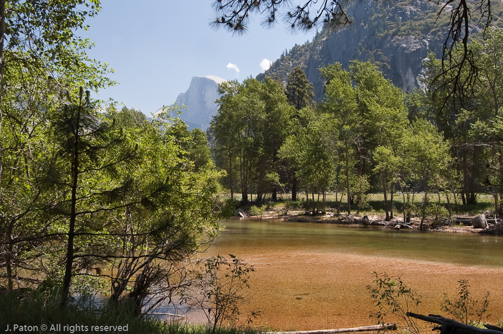 Halfdome in the Distance   Yosemite National Park, California