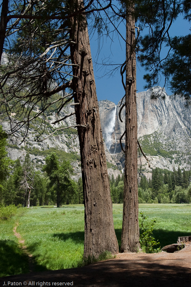    Yosemite National Park, California