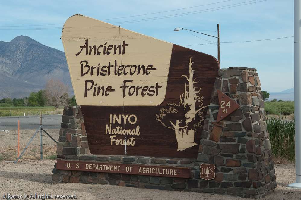 Road to More Bristlecone   White Mountains, Inyo National Forest, California
