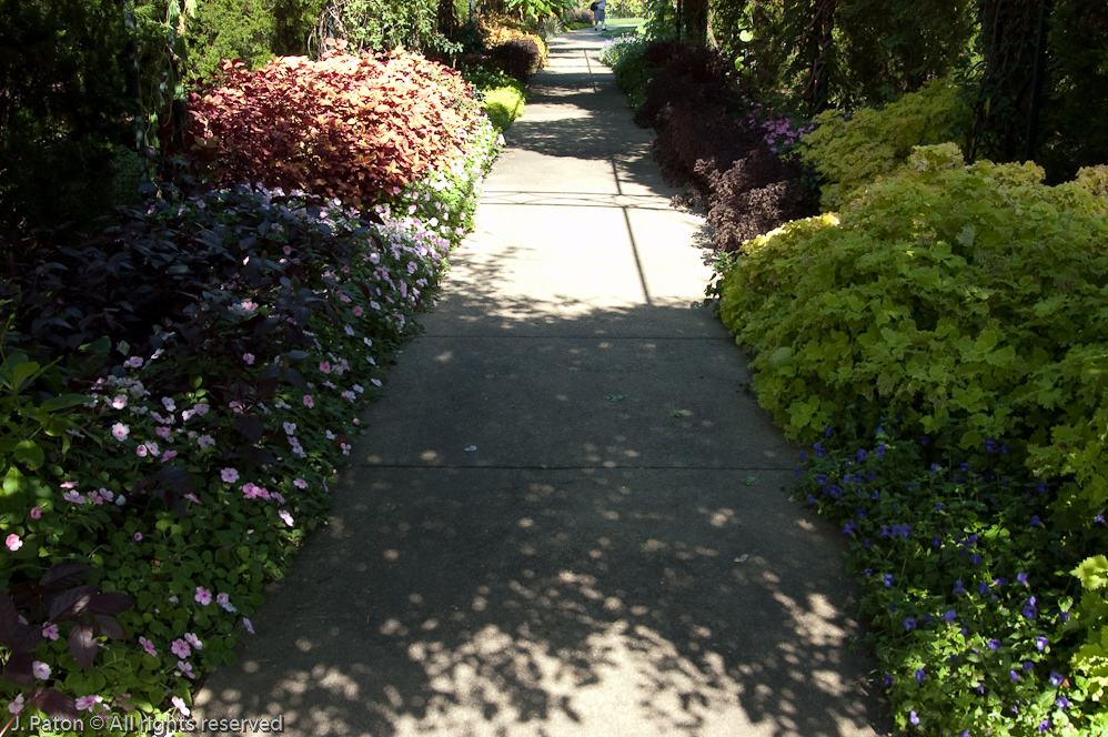 Garden Path   Cheekwood Botanical Garden‎, Nashville, Tennessee