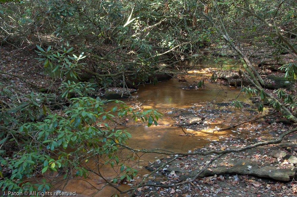 Stream on Trail  