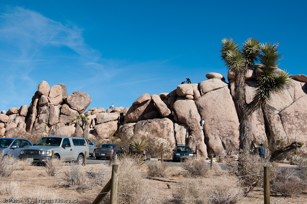 Climbers at Picnic Area   Joshua Tree National Park, California