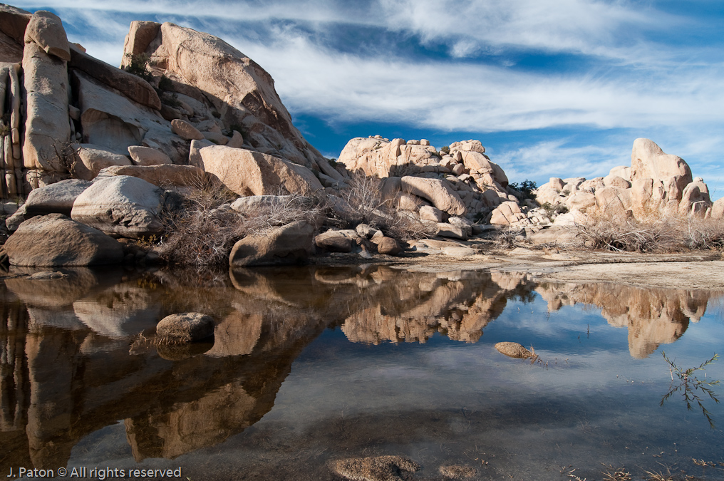 More Reflections   Barker Dam Area, Joshua Tree National Park, California