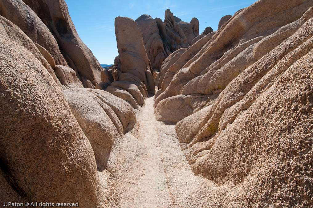 Trail Near Arch Rock   Joshua Tree National Park, California