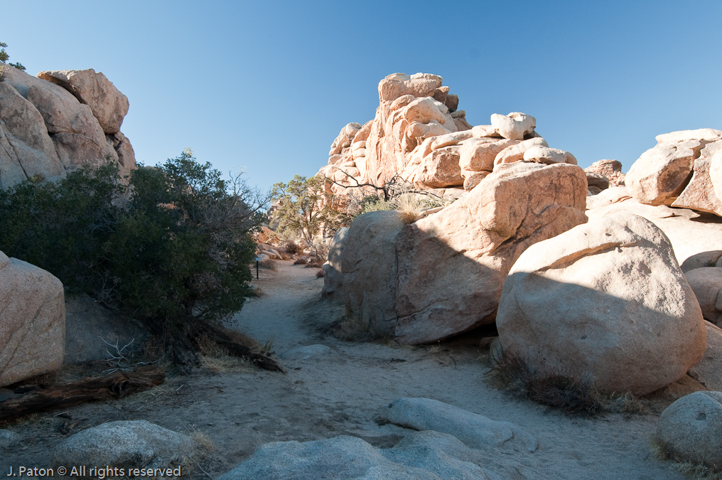 Hiiden Valley Trail   Joshua Tree National Park, California