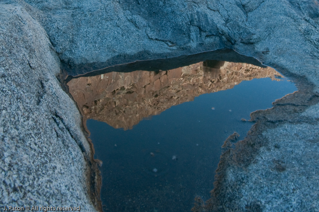 Reflection Closeup   Palm Canyon Trail, Anza-Borrego Desert State Park, California