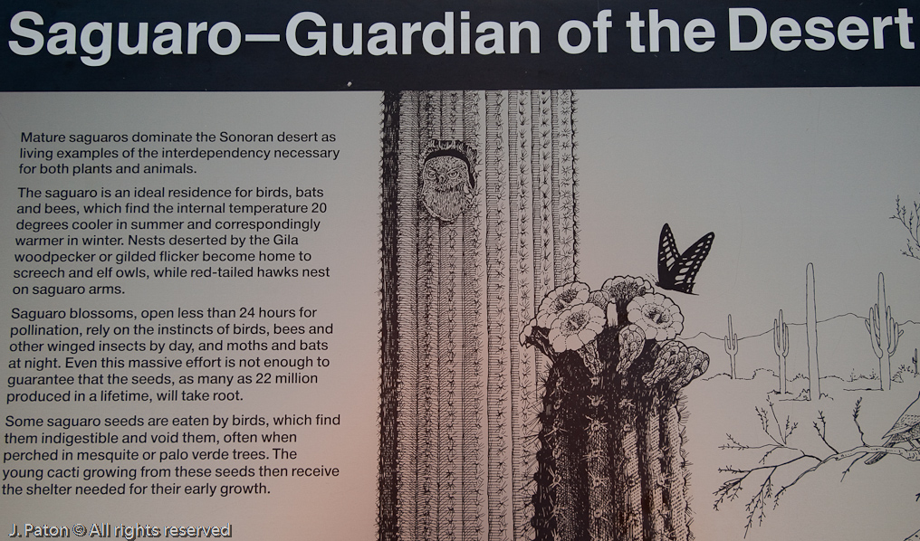 Sign   Saguaro National Park, Arizona