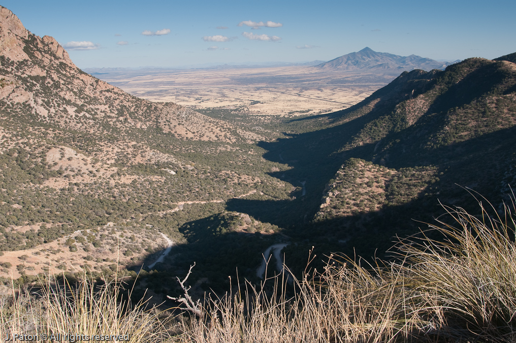 Recently Traveled Road to the Pass   Coronado National Memorial, Arizona/Mexico Border