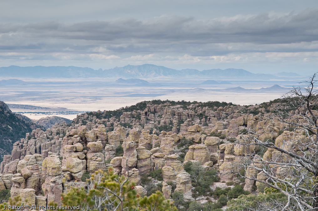 View from Massai Point Overlook   Chiricahua National Monument, Arizona