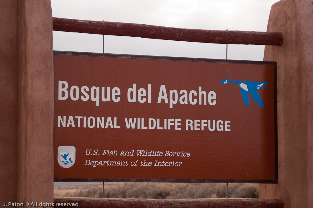    Bosque del Apache National Wildlife Refuge, New Mexico
