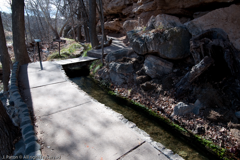 Follow The Trail Back   Montezuma Well, Montezuma Castle National Monument, Arizona