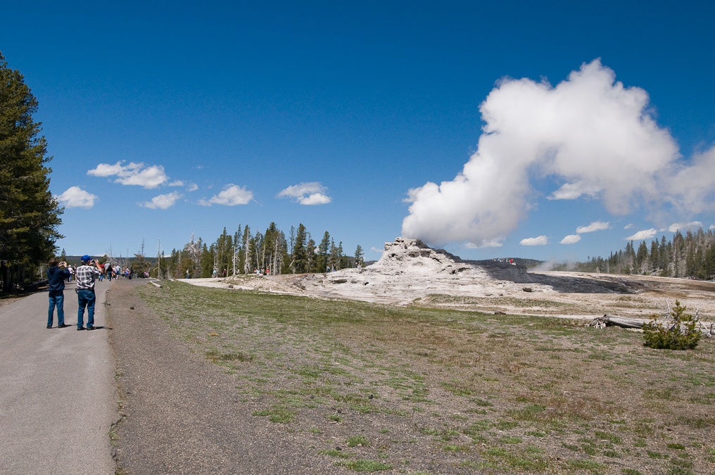 Castle Geyser   Upper Geyser Basin, Yellowstone National Park