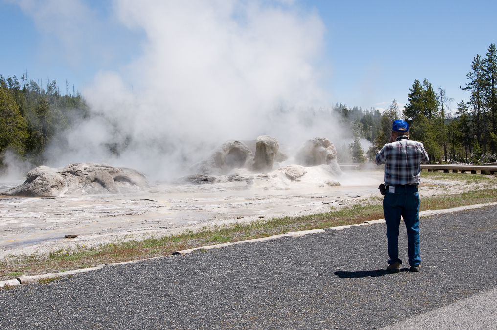 Grotto Geyser   Upper Geyser Basin, Yellowstone National Park