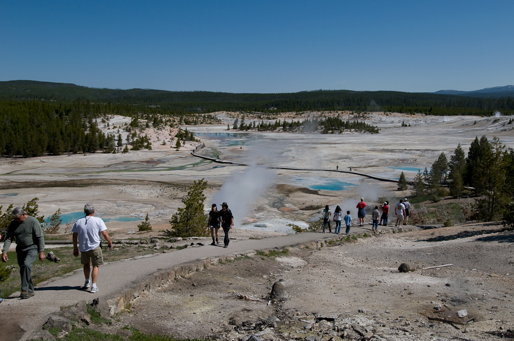 Walk Down From the Visitor's Center   Norris Geyser Basin, Yellowstone National Park