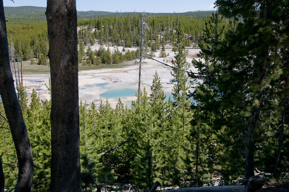    Norris Geyser Basin, Yellowstone National Park