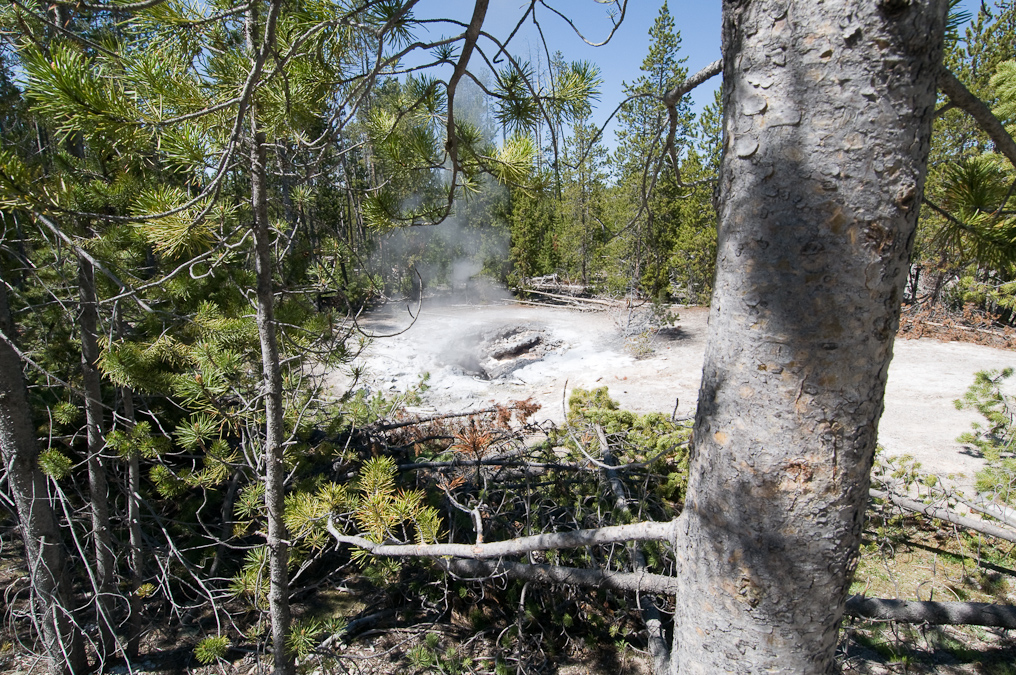    Norris Geyser Basin, Yellowstone National Park