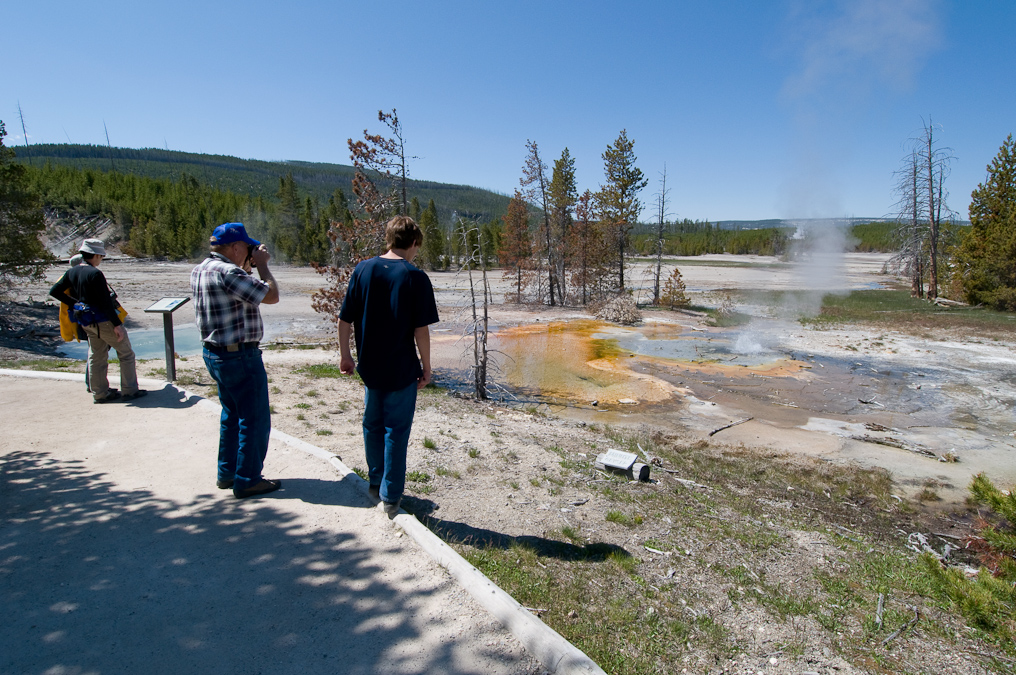 Minute Geyser   Norris Geyser Basin, Yellowstone National Park