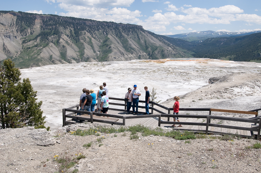    Mammoth Hot Springs Area, Yellowstone National Park