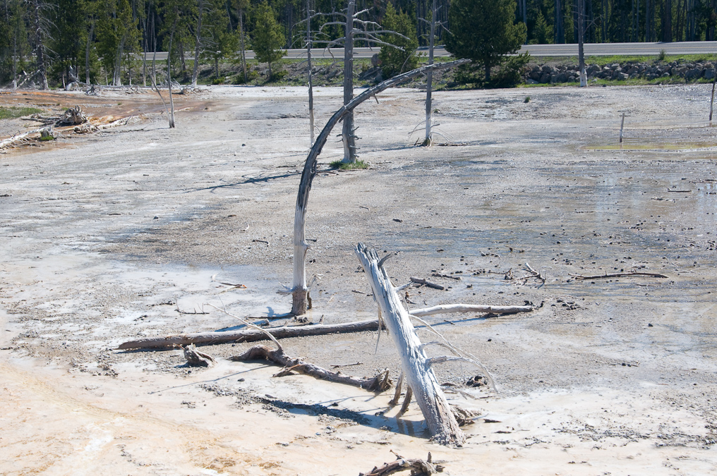    Fountain Paint Pots Area, Yellowstone National Park