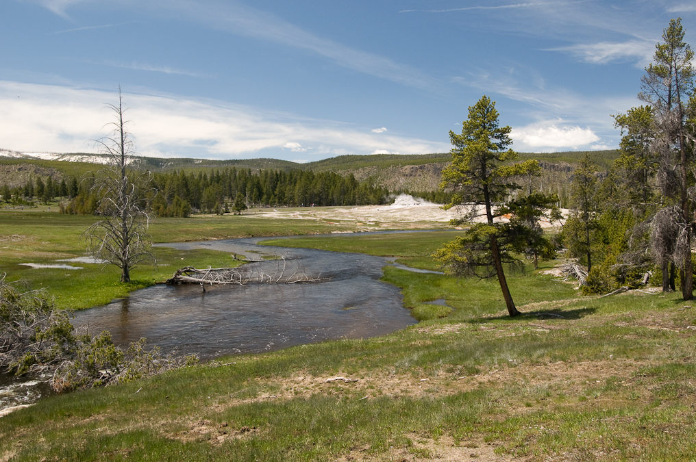 Castle Geyser   Upper Geyser Basin, Yellowstone National Park