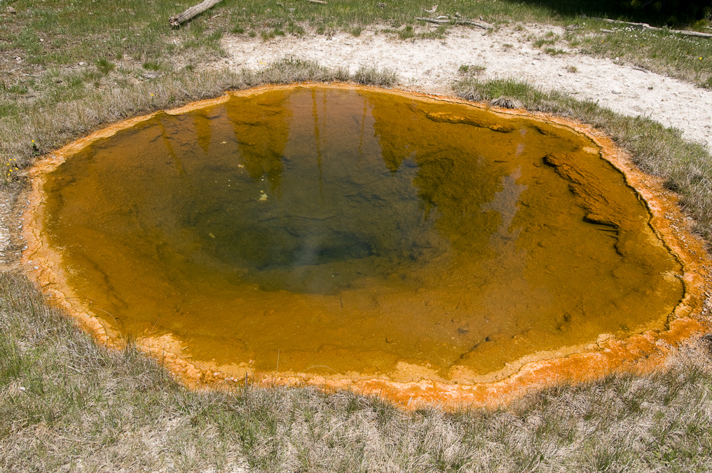 Liberty Pool  