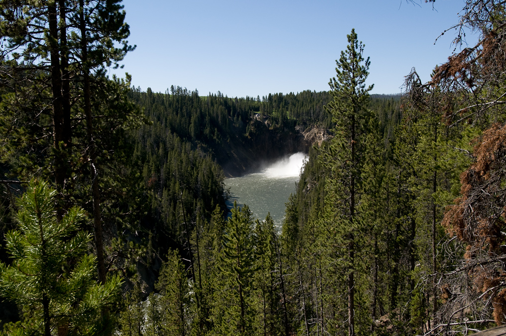See Part of the Upper Falls from Trail   Canyon Area, Yellowstone National Park