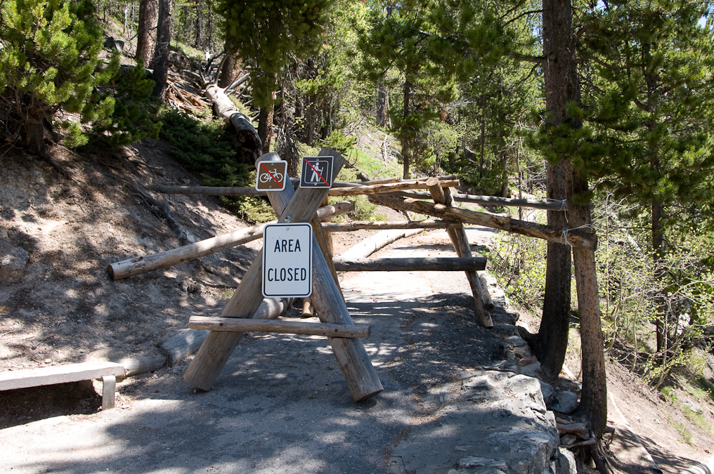 Barrade on Switchbacks   Brink of the Lower Falls, Yellowstone National Park
