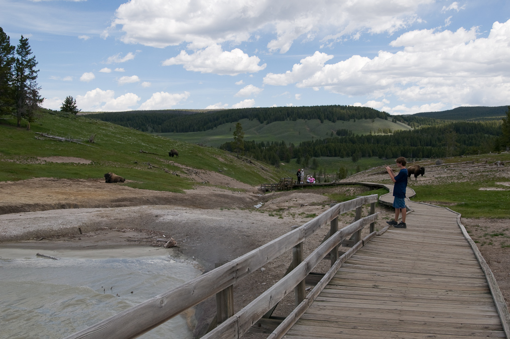 Brad and Bison   Mud Volcano Area, Yellowstone National Park