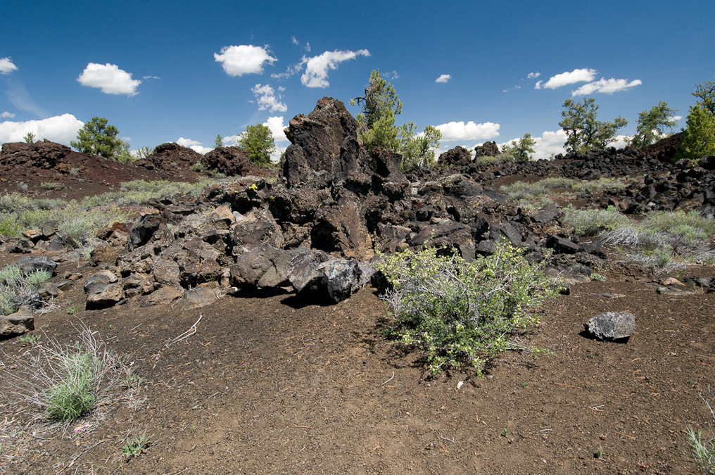 Devil's Orchard Trail   Craters of the Moon National Monument