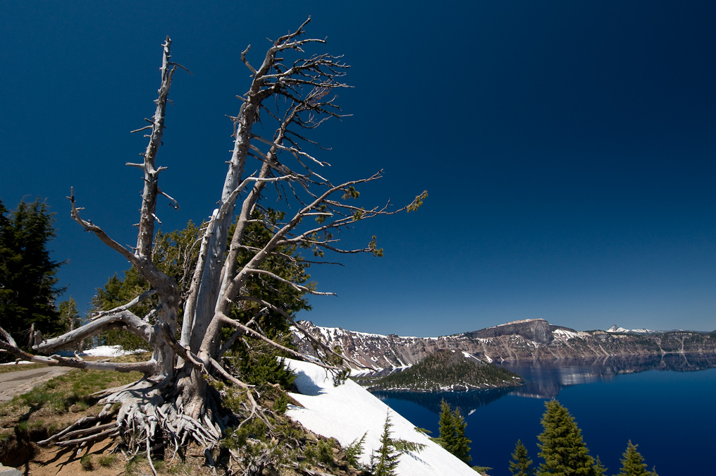 View from Rim Village Area   Crater Lake National Park