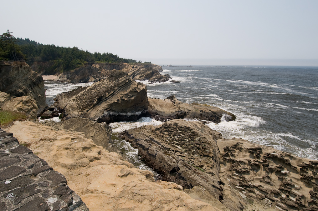 Coastline with Sunlight!   Shore Acres State Park