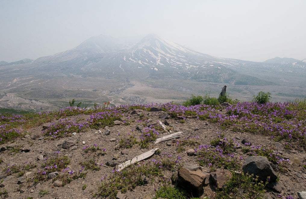 Visitor Center Viewpoint   Mount St. Helens National Volcanic Monument